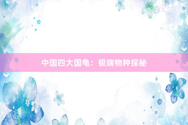 中国四大国龟：极端物种探秘
