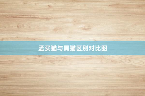孟买猫与黑猫区别对比图
